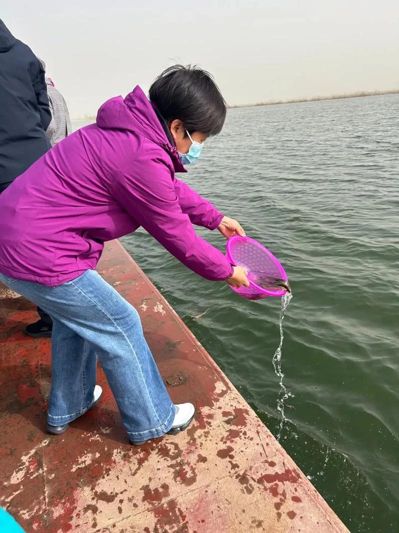当我们看到辽宁葫芦岛有人在海边“放生大米”的新闻时，第一反应或许是疑惑、好奇，甚
