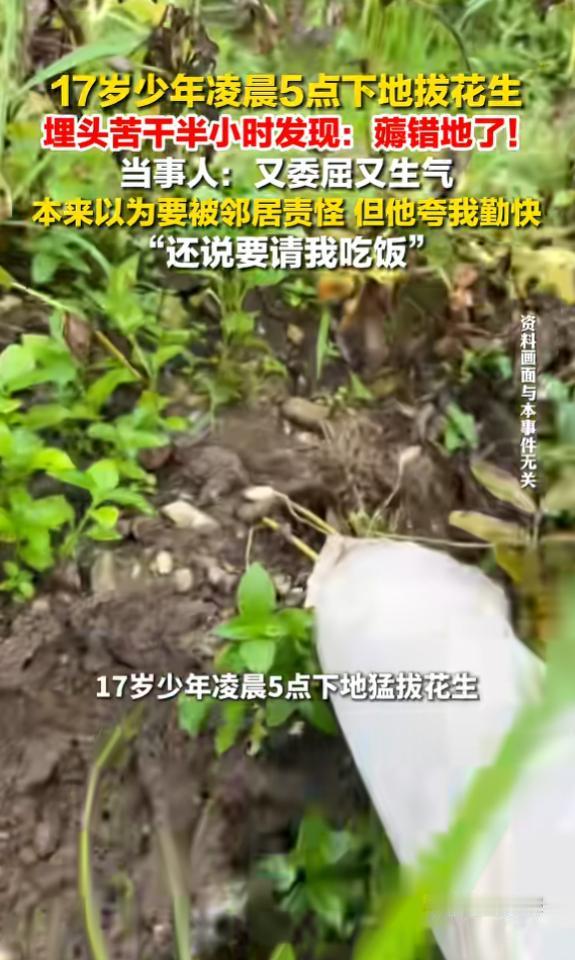 “笑不活了！”7月2日报道，广西贵港，一17岁男生凌晨5点，被母亲叫醒去地里拔花