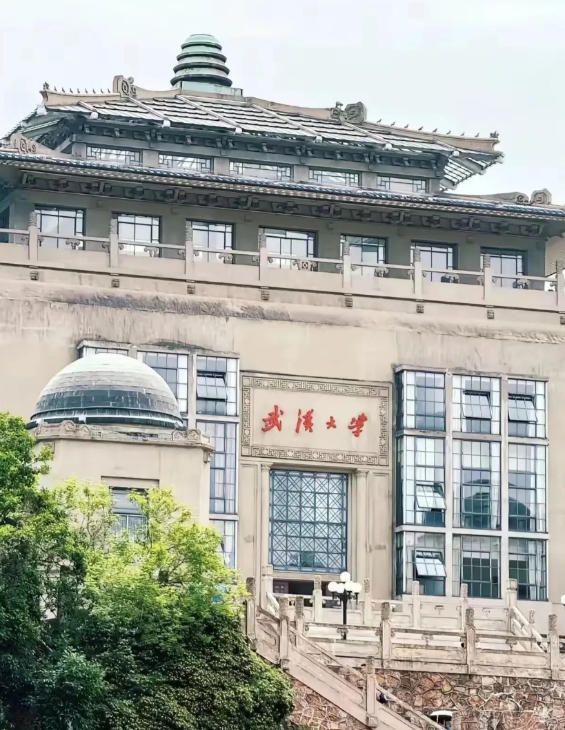 蝴蝶效应？清华大学何教授近日在B站发布视频说：“若武汉大学不撤回之前对于肖同学的