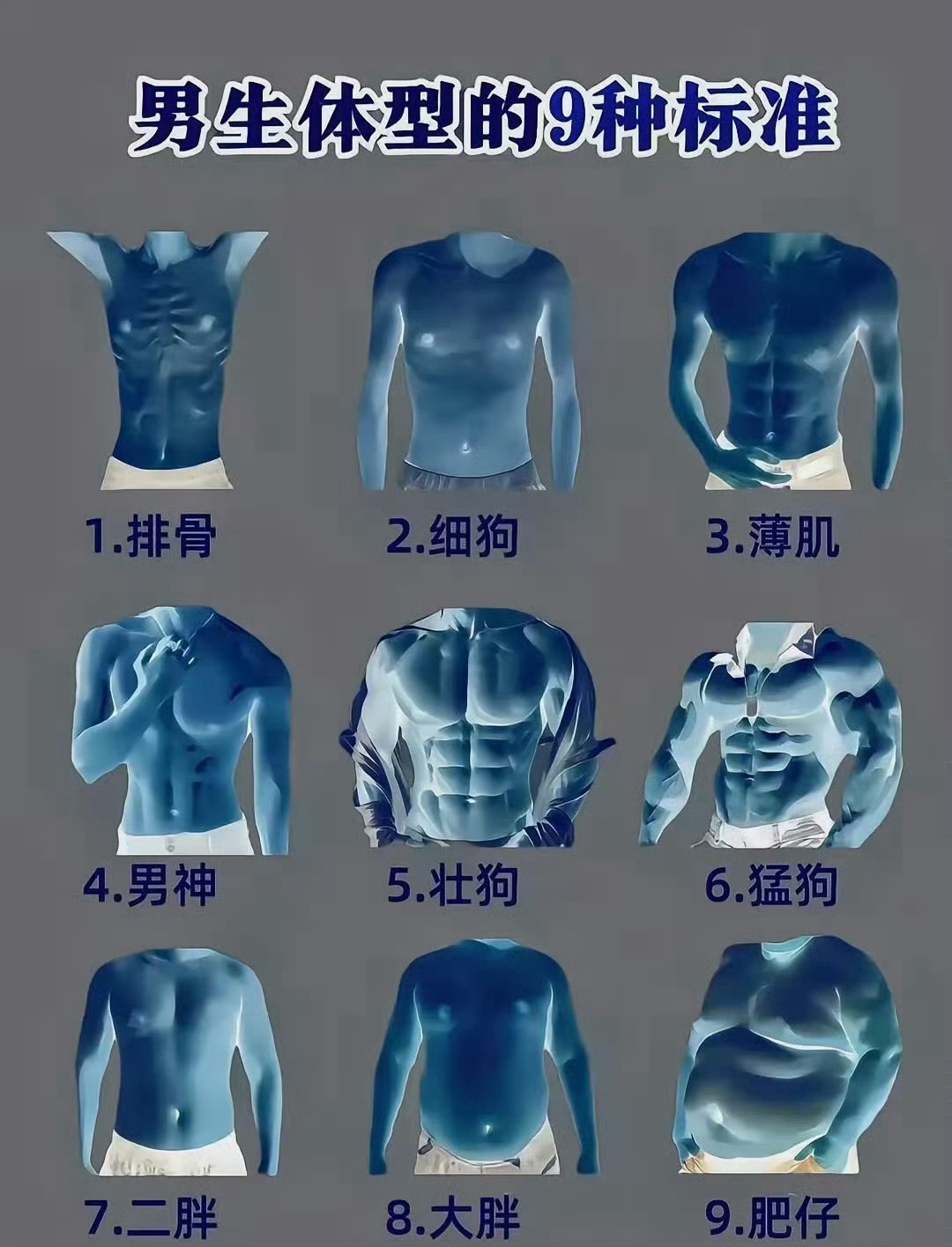 女生喜欢哪种男生的体型？