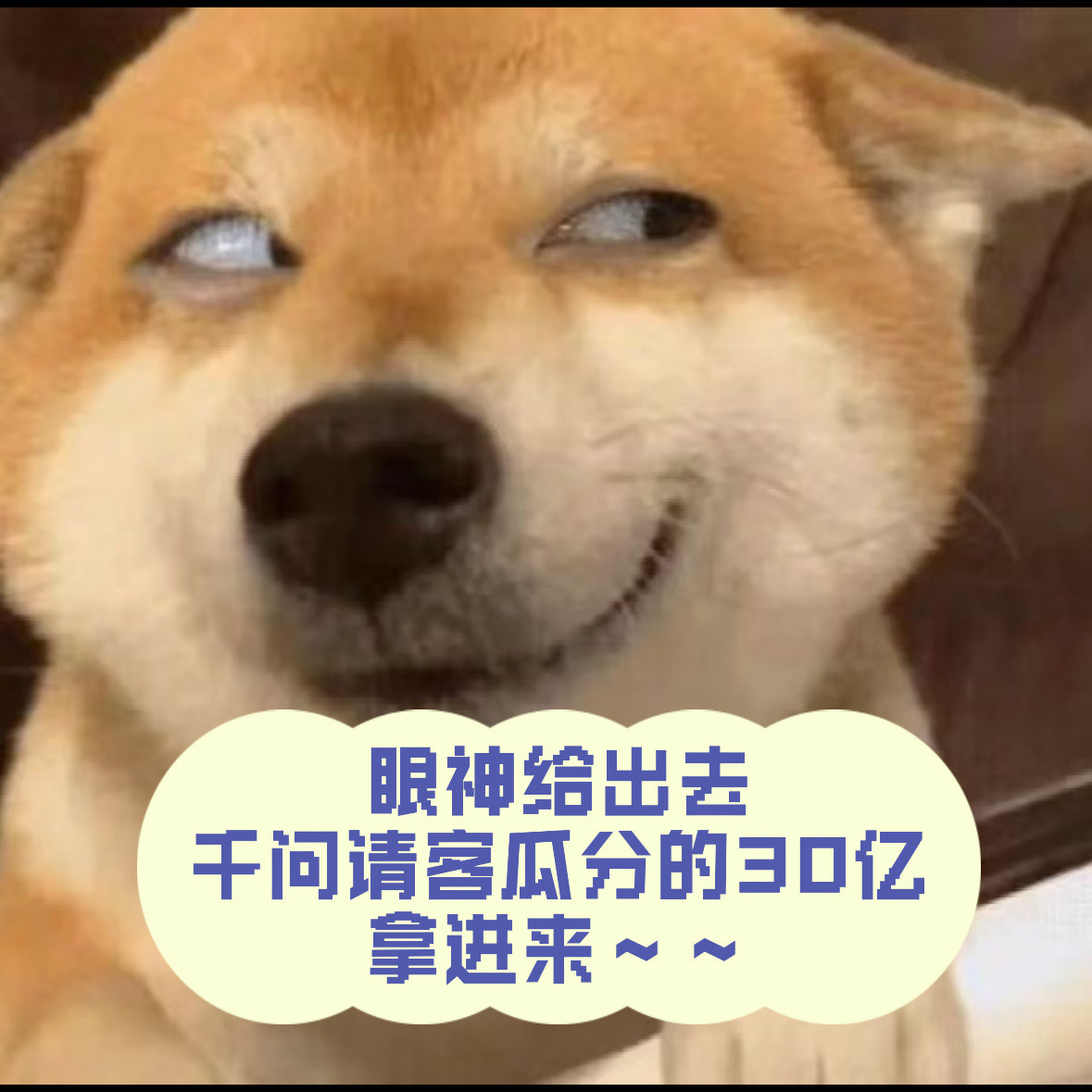 好消息好消息，千问可以点盒马了。之前不是跟大家千问请客大家瓜分30亿这个活动