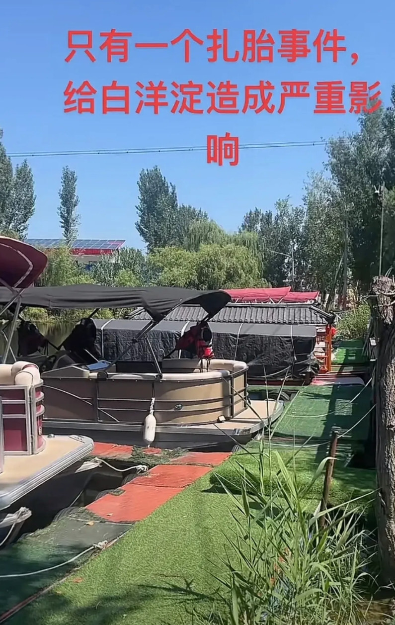 白洋淀现状：旺季不旺，今年农家乐老板收入大幅降低。图片是一家游船老板发的，12