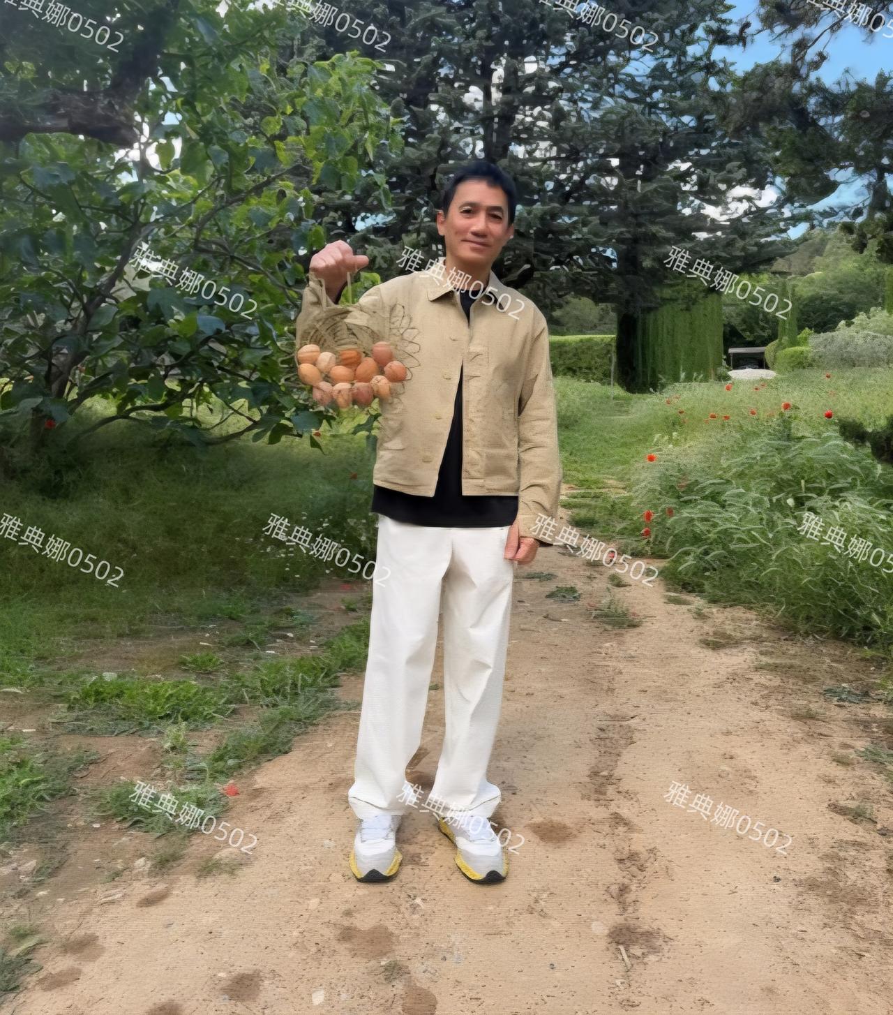 香港明星都怎么了？梁朝伟收鸡蛋，张曼玉挖芋头，当年一个是电影里一个眼神就能迷倒