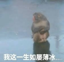 看到一段很好笑的视频，但我不敢发