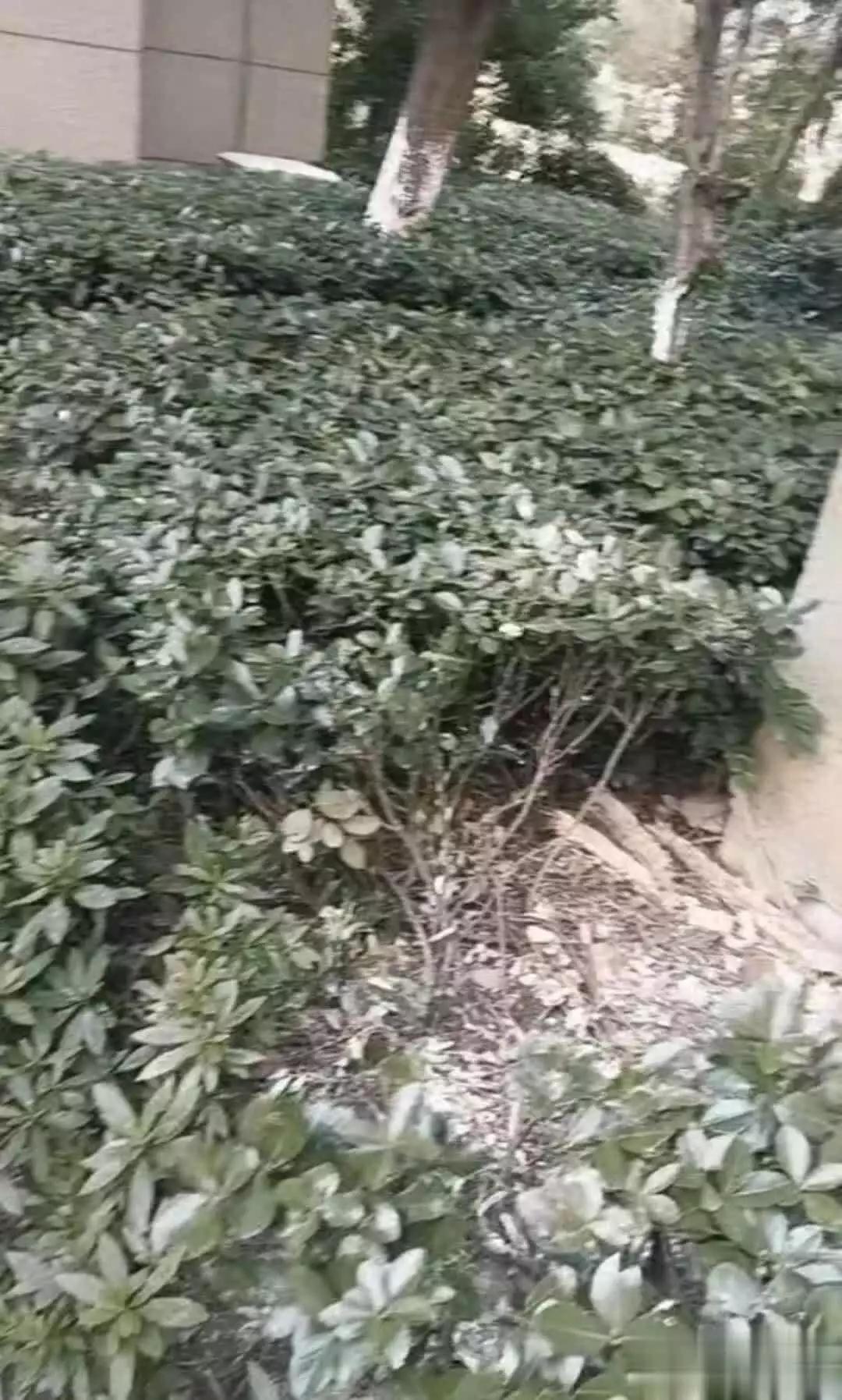 浙江嘉兴，一20岁女孩与男友争吵后从18楼坠落，送医时多处重伤、连续昏迷，家人一