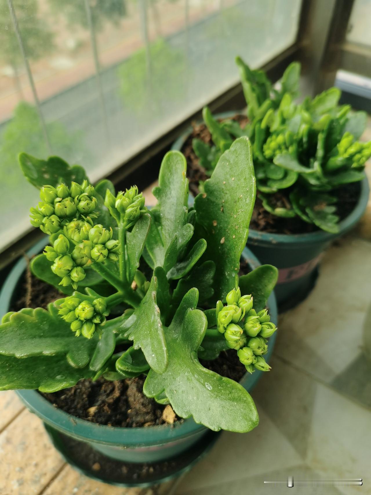 同学炒股，从赚120万到亏20万，他以前笑话我没胆量，说我这种人不适合炒股，他说