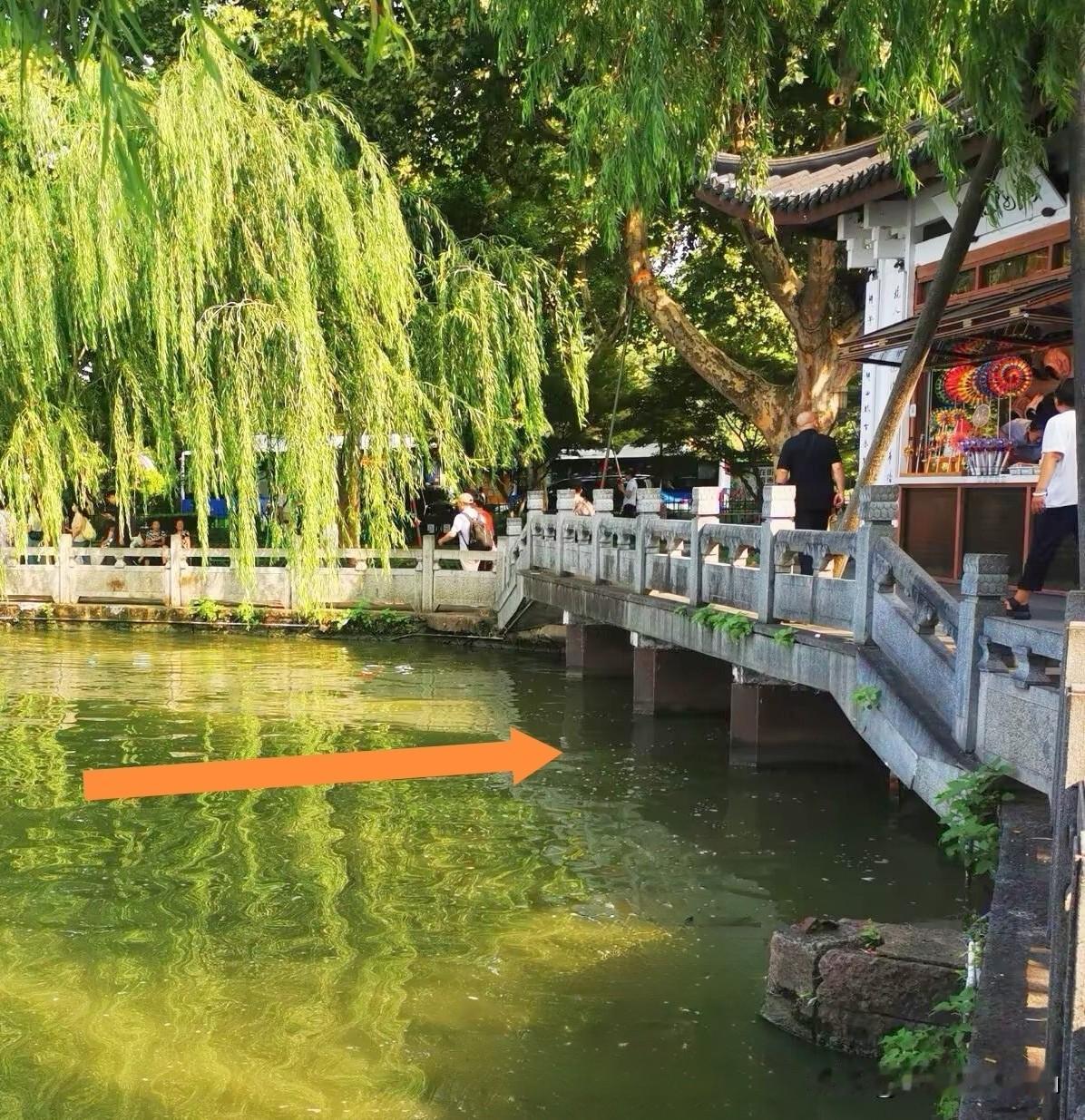 杭州西湖高气温下如何保护好水质非常重要，前面作品介绍了西湖太子湾公园进水口，为西