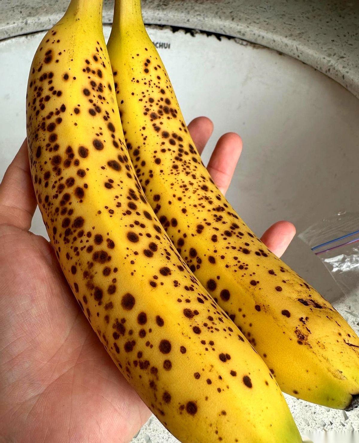 我发现所有减肥食谱都有一个共同点。就是把世界上最好吃的东西，全都给你列在“禁