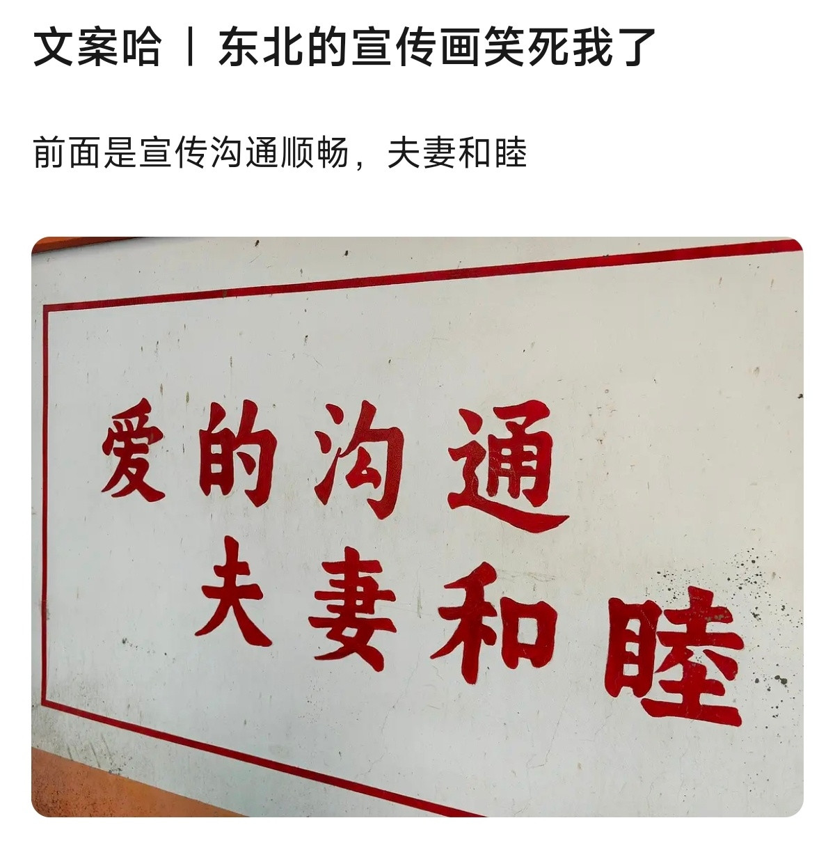 怎么这么一本正经地搞笑啊，哈哈哈哈哈哈哈哈哈哈​​​