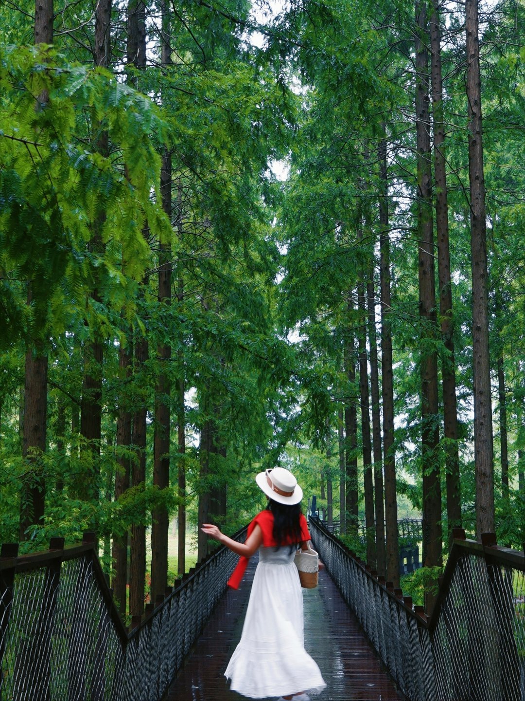 谁懂啊！盐城藏着片“绿野仙踪”🌳森系大片拍到手软！我在江苏周边游挖到宝了！盐
