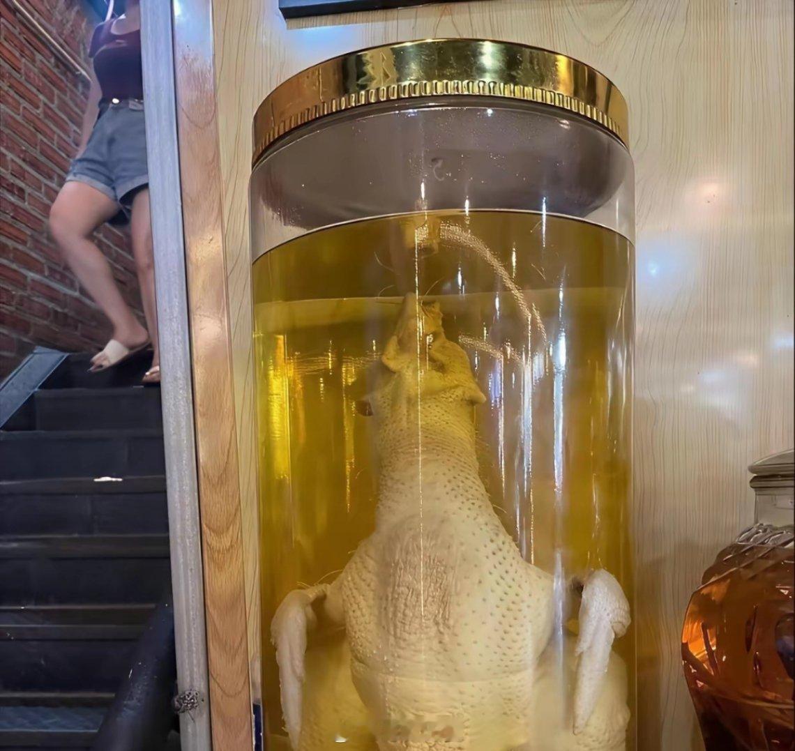 去同事家里吃饭，看到这瓶酒，一看这不就是普通的鸡吗？这样一道美食，同事却不舍得分