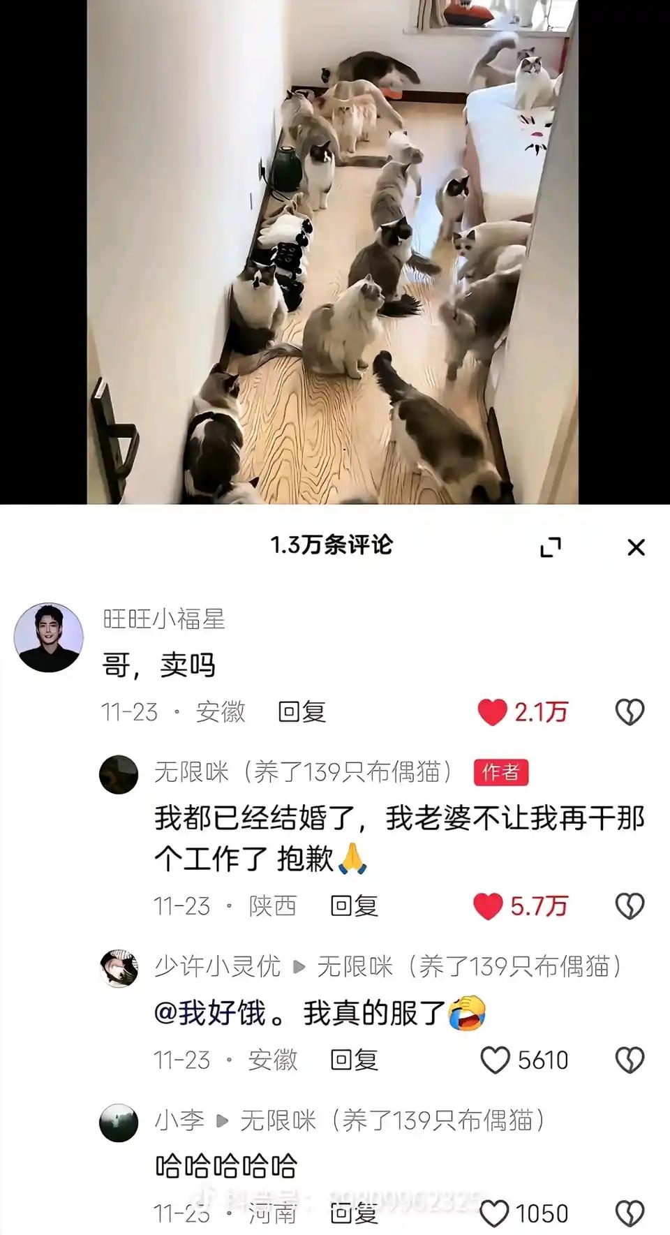 不是，你这是平A骗大招啊[捂脸哭]