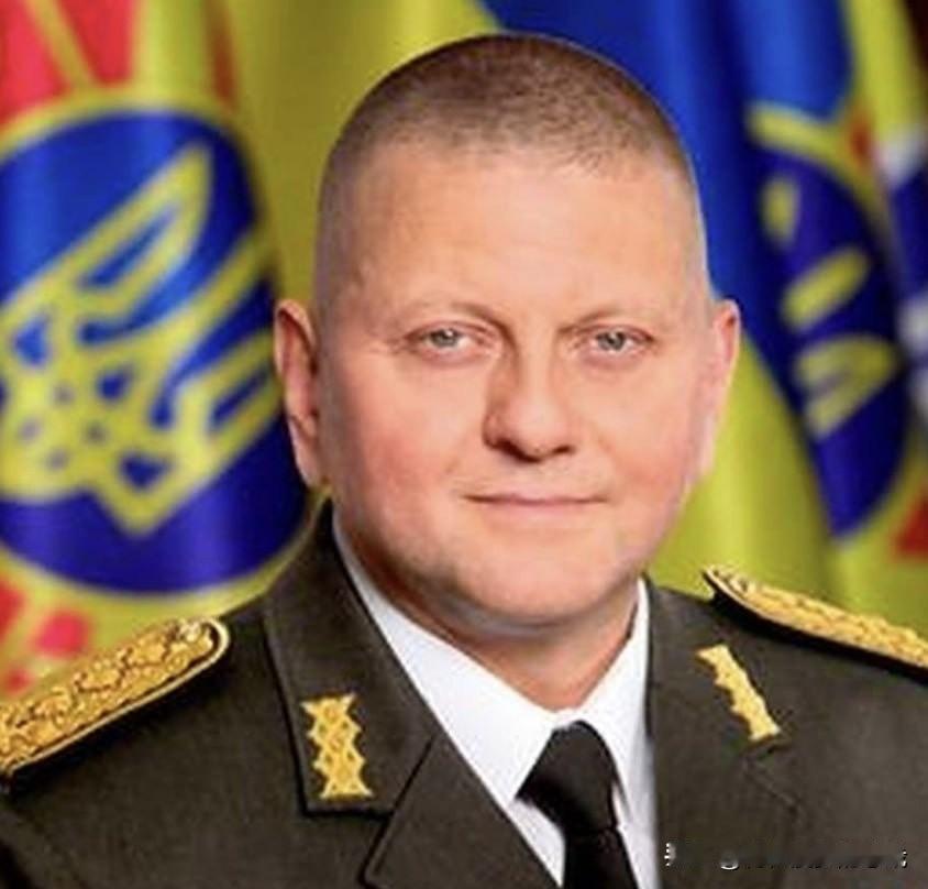 沉寂三年的“北溪”爆炸案突然甩出戏剧性新剧情——德国放话称，乌克兰前总司令扎卢日