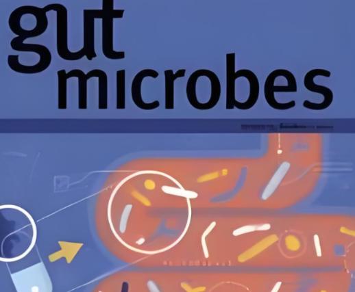 只需要注射一次，癌症完全缓解率100%！日本发现了一种新的抗癌方法，效果还出奇