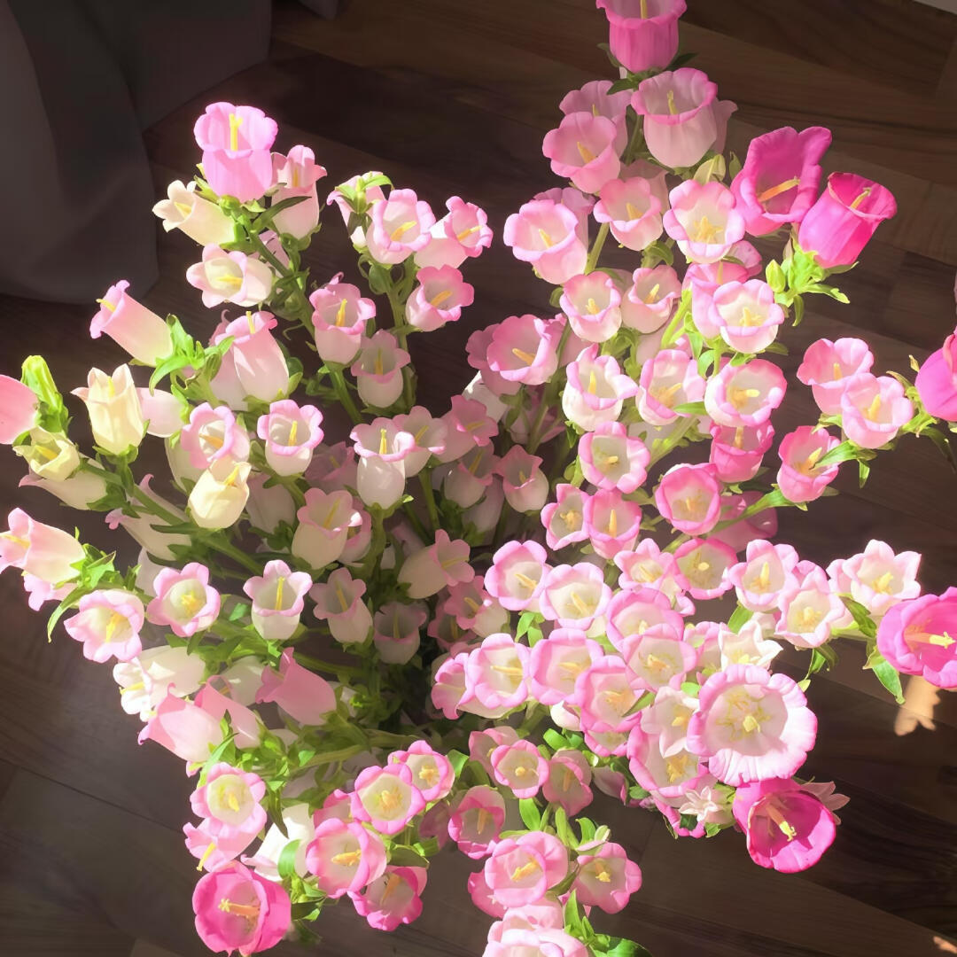 𝐈'𝐦𝐨𝐤⑉☺°生活走走停停看看