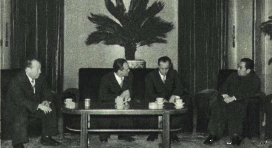 1955年12月22日，周恩来总理在中南海接见了以诺维科夫教授（苏联科学院院士、