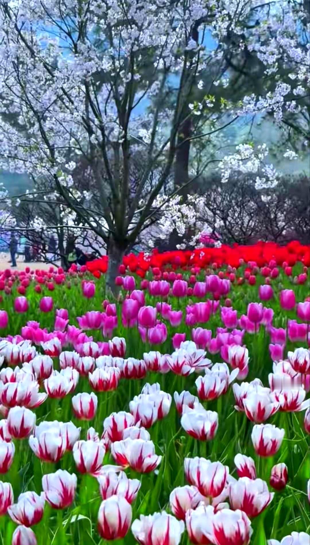 退休后怎么活才舒坦？说白了就是别瞎折腾，留间房给自己当退路。十二个要点给您捋