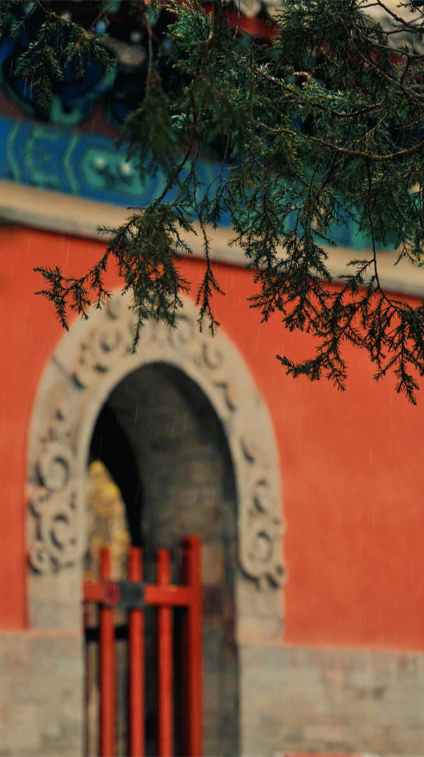 最近非常喜欢的一句话：“情绪，不过是智慧不够的产物”。