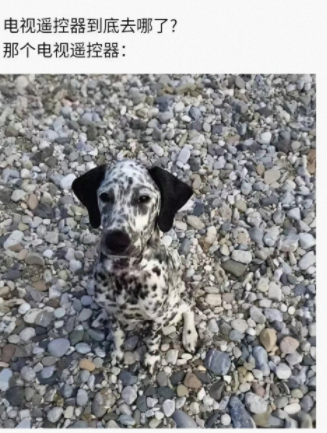 当我找电视遥控器时