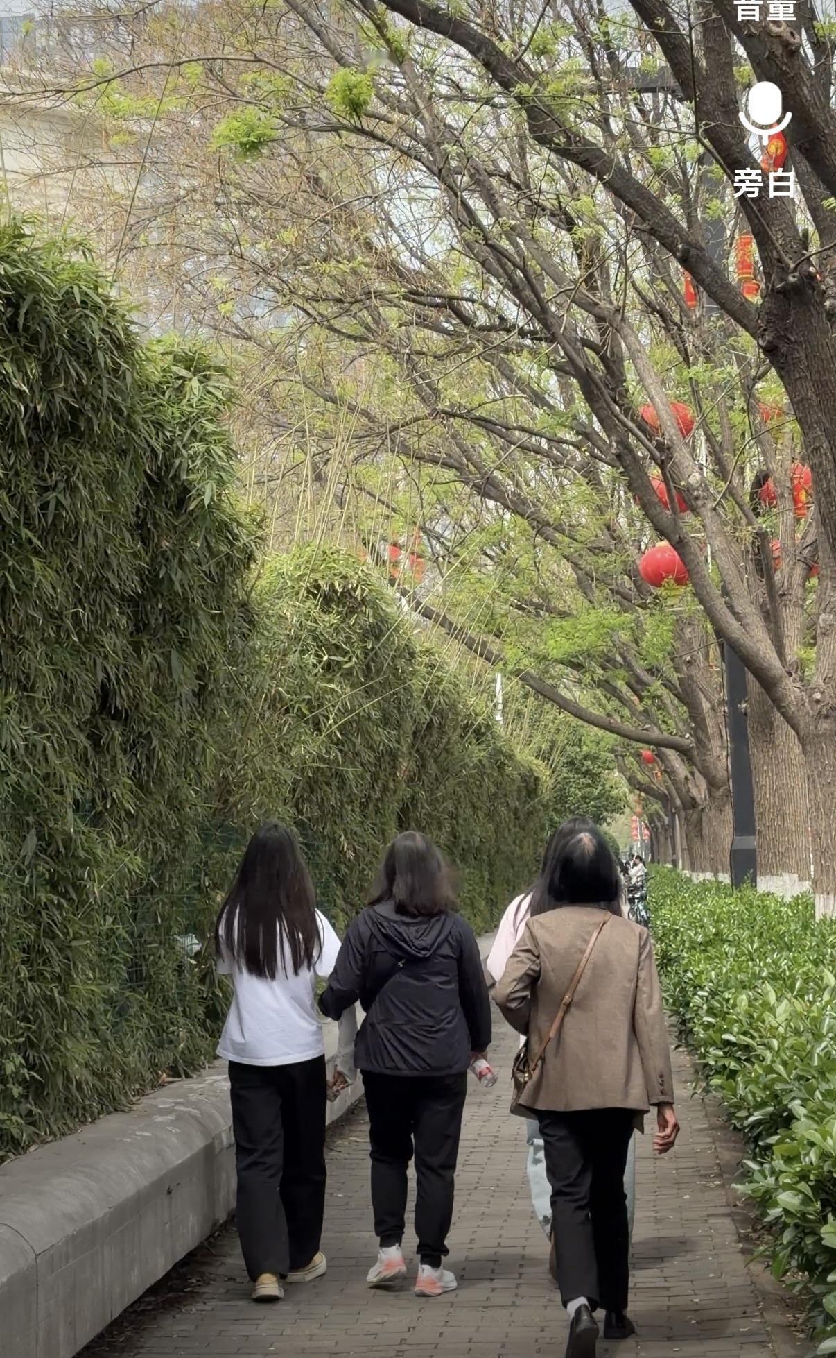带妈妈赴洛阳牡丹之约，趁时光未老，趁她还能走周末放下忙碌，专程带妈妈来洛阳看