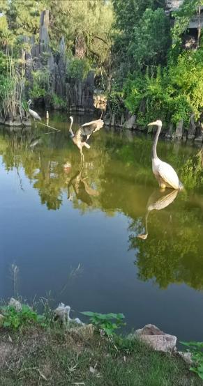 女人一定要记住，男人爱不爱你，根本不用反复猜。看清一点就够了：爱你的男人，他