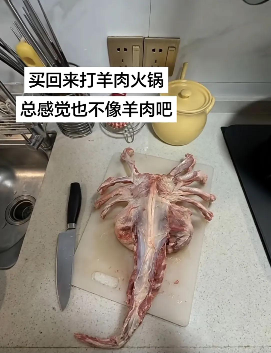 今天才知道为什么叫它“羊蝎子”！拆开一看骨架造型跟蝎子几乎一模一样，尾部长长，肋