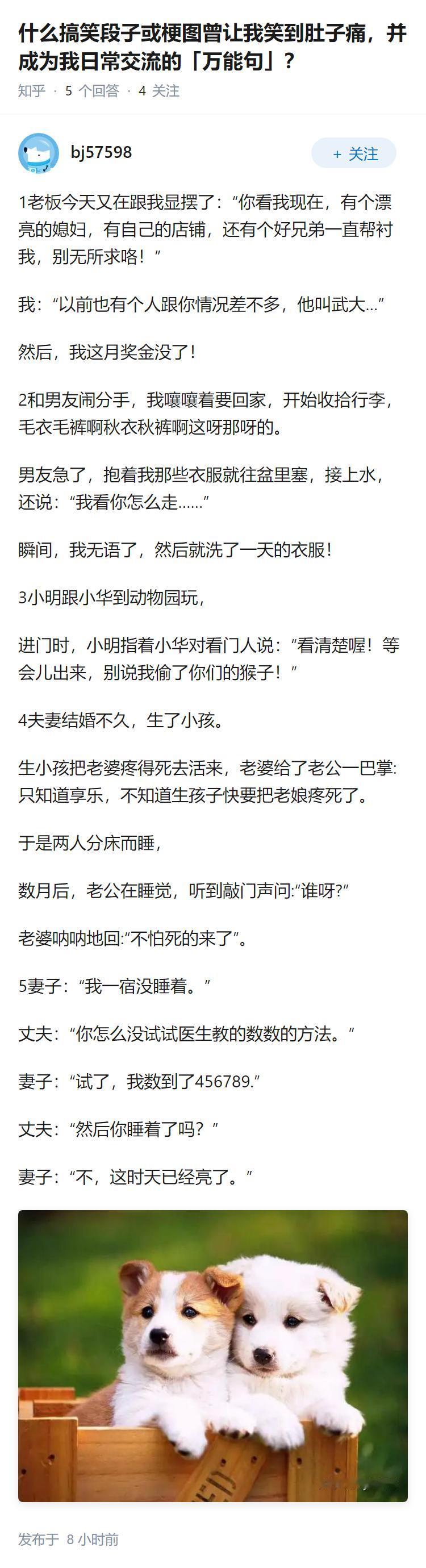 什么搞笑段子或梗图曾让我笑到肚子痛，并成为我日常交流的「万能句」？