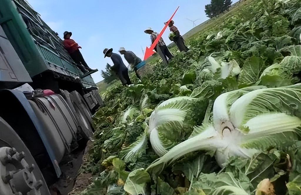 多部门查处“甲醛白菜”！危害有多大？甲醛兑水，白菜蘸一蘸，装车运走，8月22日