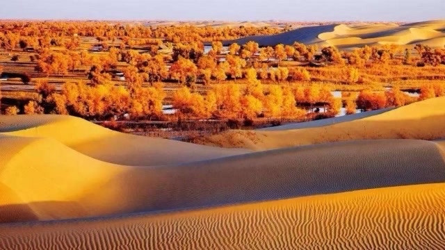 我国南疆塔克拉玛干沙漠，勘探发现两处大型地下水水源，沙漠地下蕴藏的水资源潜力，再次刷新大众认知。很多