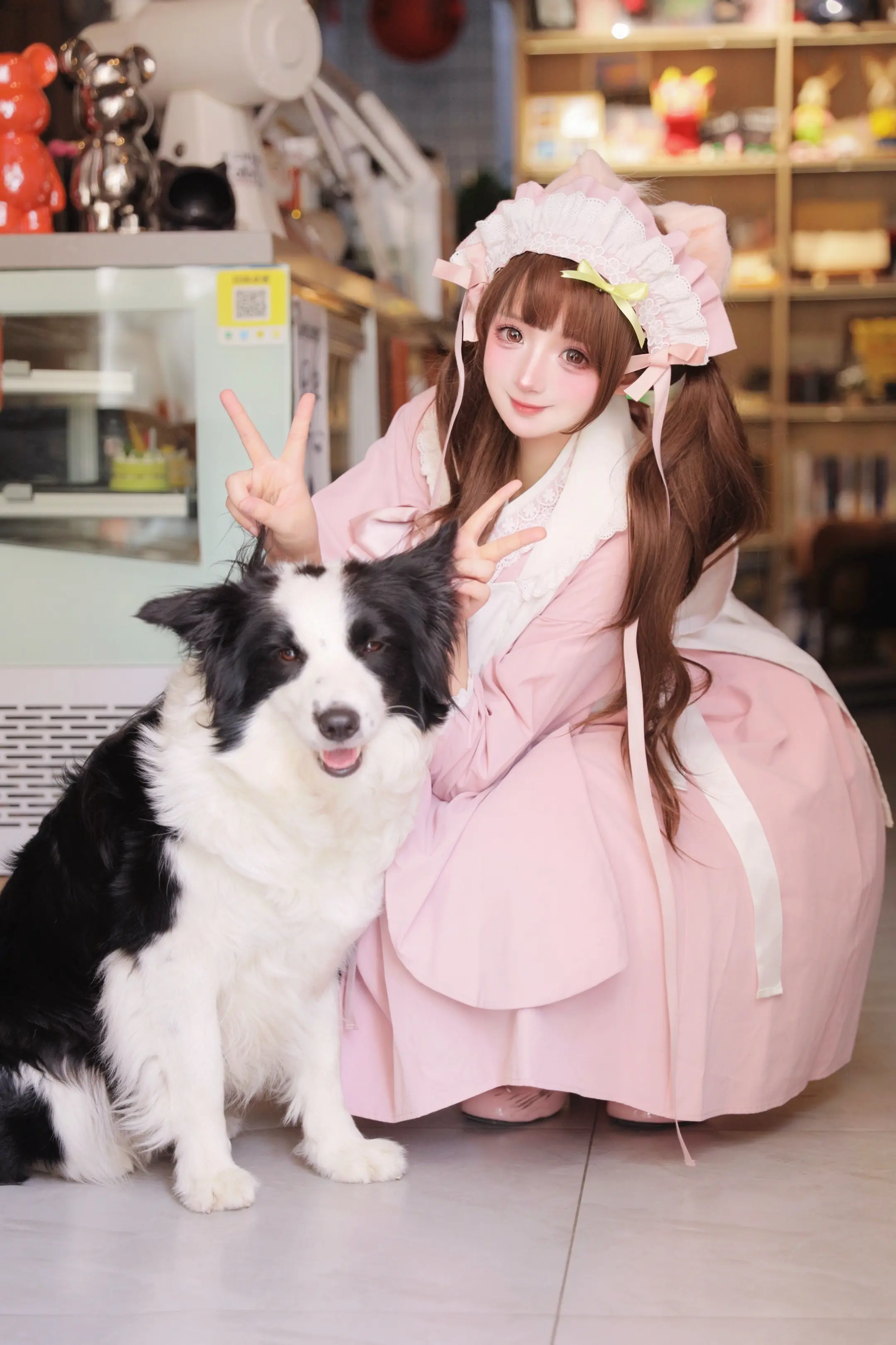 小猫小狗🐱🐶。📷