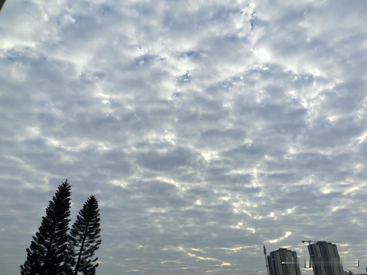 广东气温先升后降，下周冷空气来袭，气温大跳水！17～19日，广东大部晴到多云