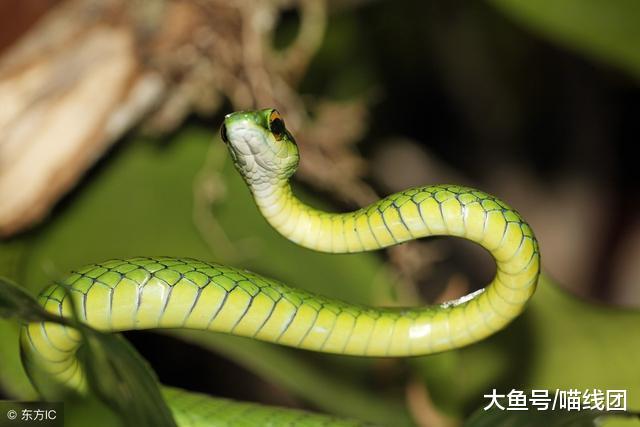 新开传奇1.76毁灭游戏截图3