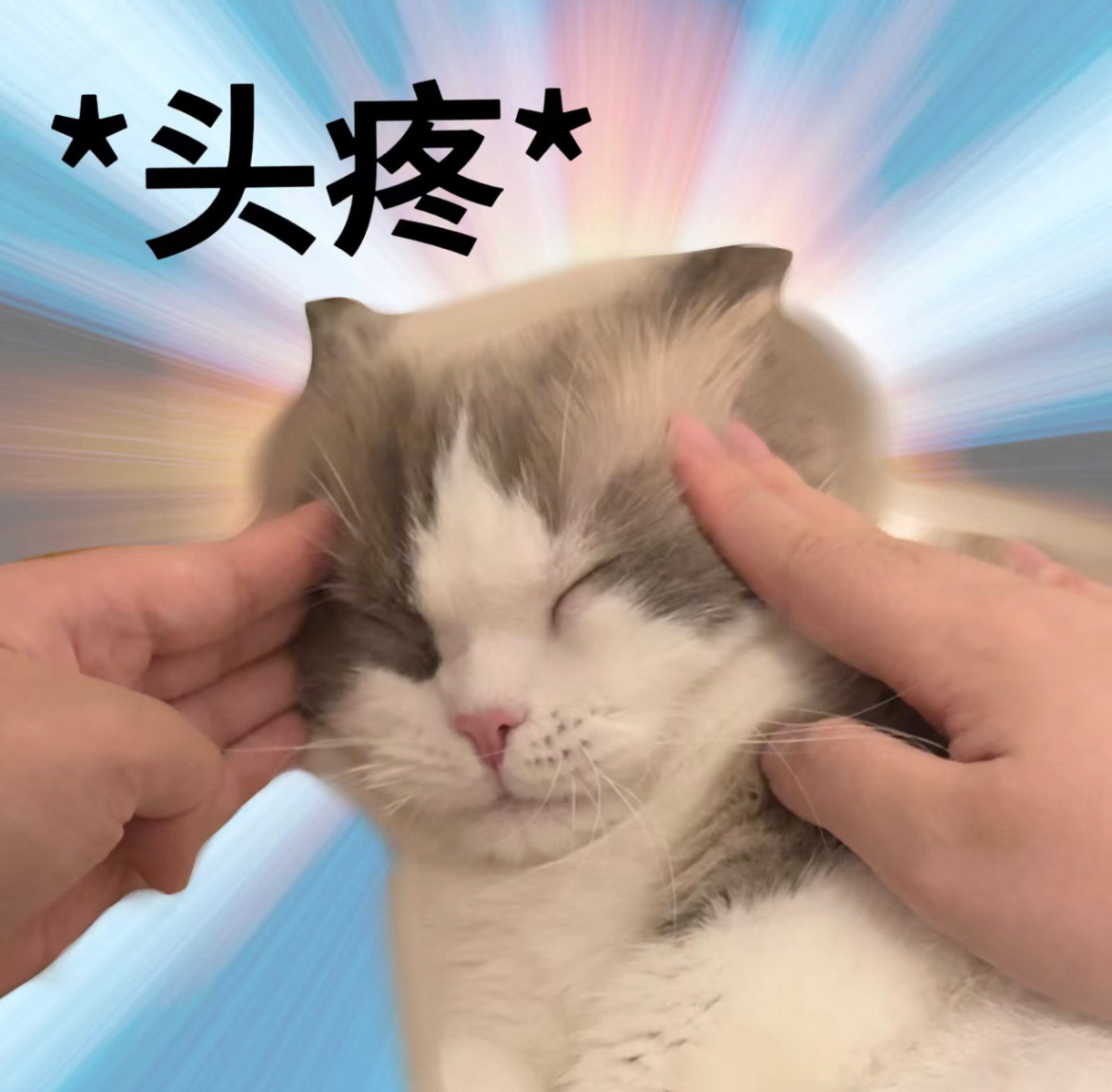 韩安冉被前男友杀猪盘算计这个事让我想起前两天刷到的新闻，杭州有一位五十多岁的姐姐