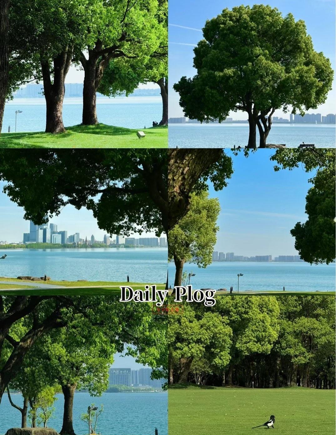 @点小野发现一处风景极好的公园⛲️，完全是徒步的宝藏地，推荐附近的伙伴可以来玩