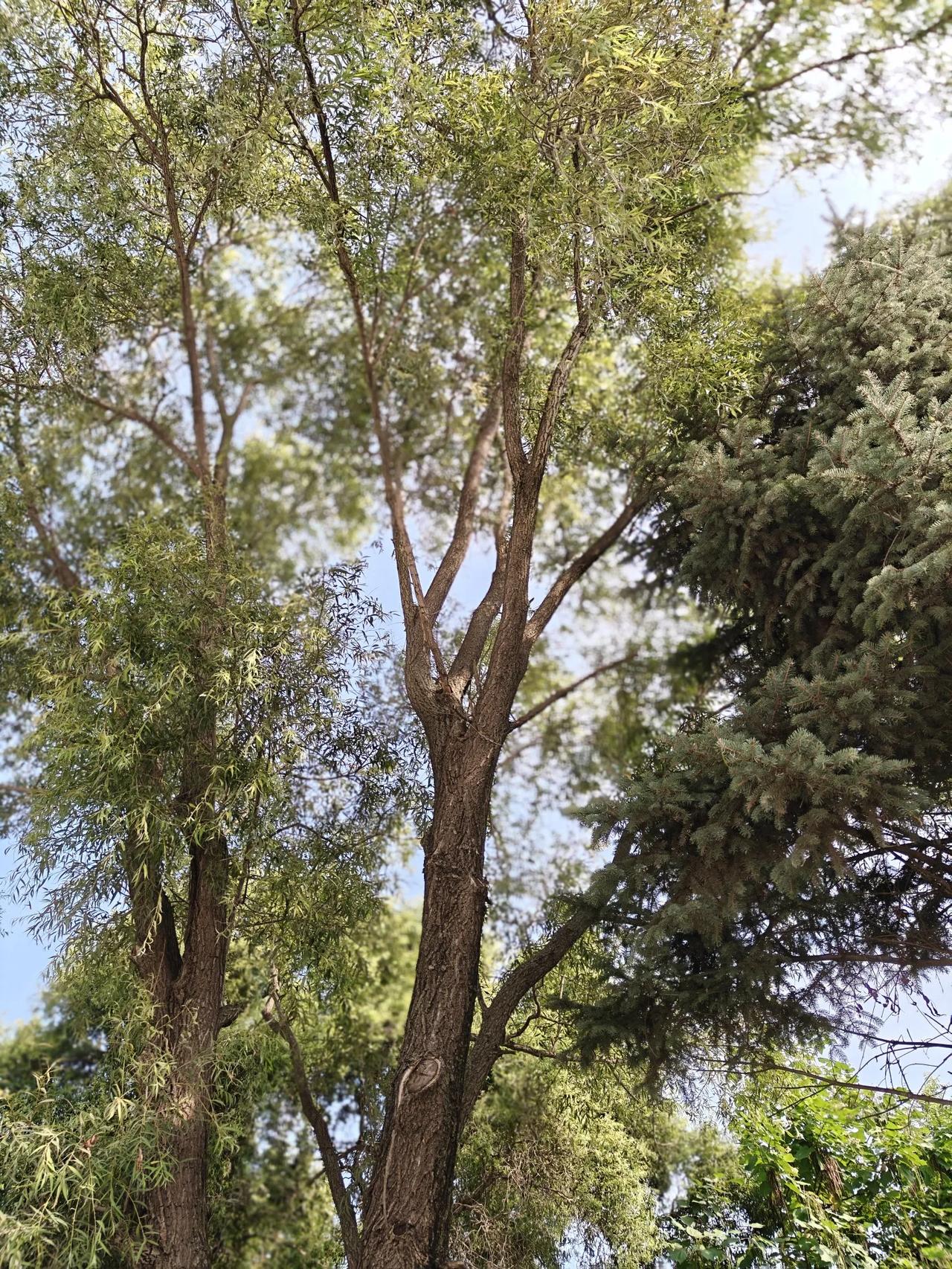 想把现在住的房子卖掉，因为岁数大了，腿脚不好，不愿意爬顶楼了，想再买一个楼层低点