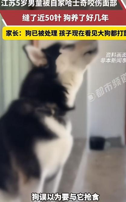 “这下养狗的都被干沉默了！”5月2日报道，江苏，5岁男童被自家哈士奇咬伤面部，缝