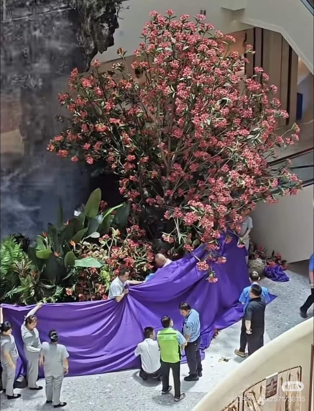要是没人提醒，打死我也不敢信真的越看越心酸，心里堵得慌！我真的万万没想到，