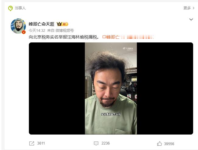 峰哥实名举报汪海林偷税漏税峰哥与汪海林的这场舆论冲突，表象是两个人的网络交锋，底