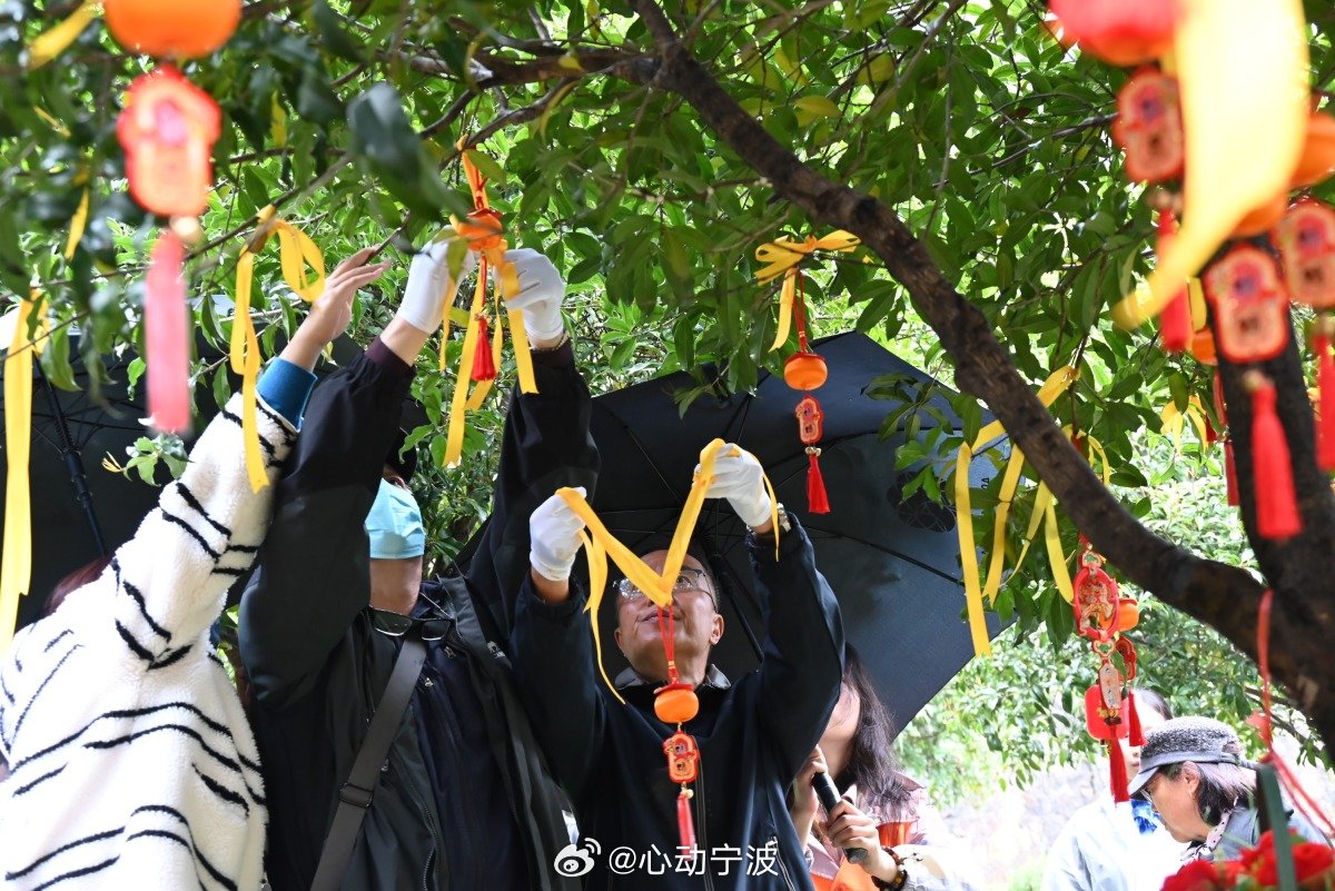 宁波鄞州树葬35位逝者长眠桂花树下3月29日，鄞州区省级树葬示范点在同泰嘉陵举