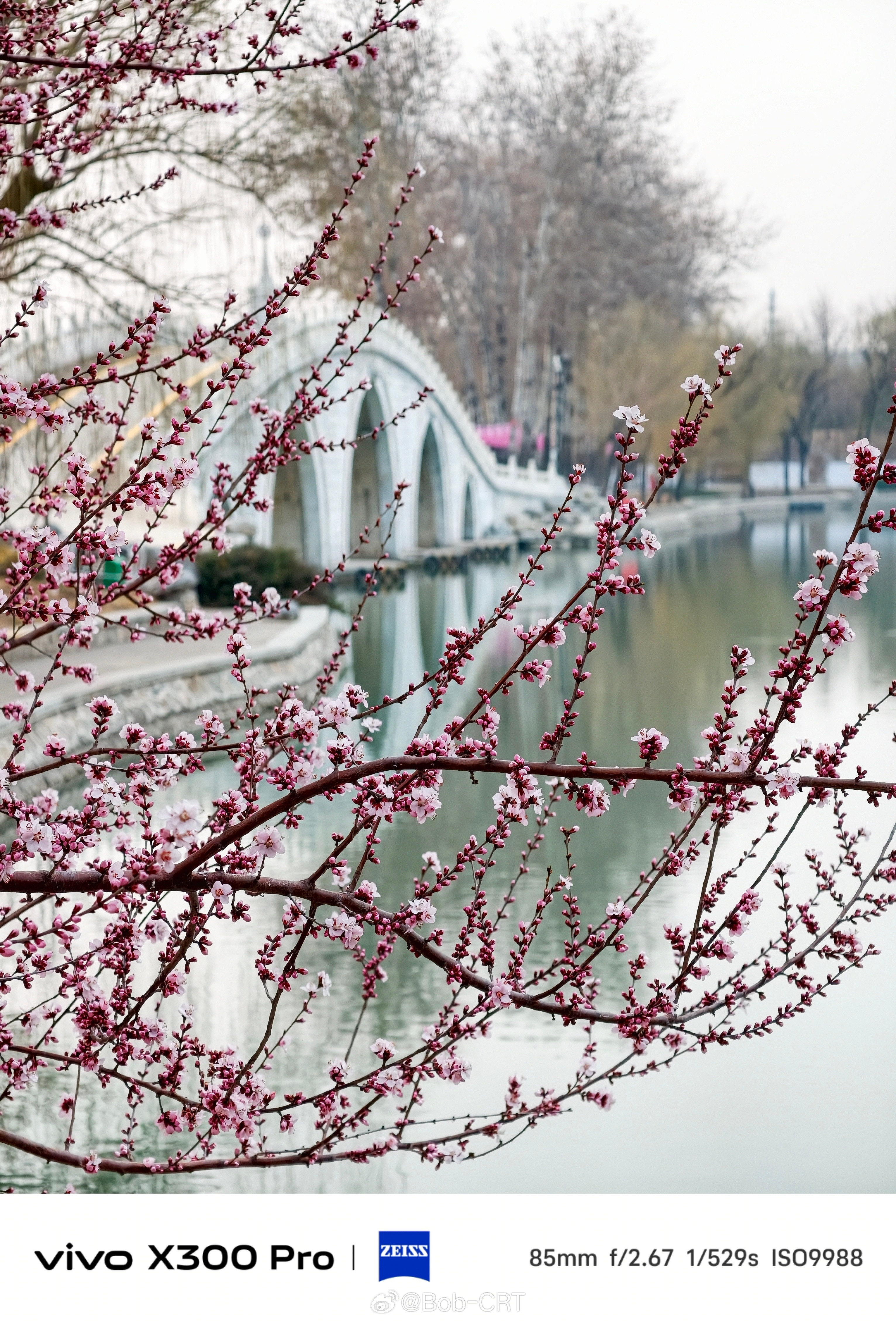 《我在玉渊潭，很想和你交换春天》北京玉渊潭公园，即将迎来樱花盛开的春天。3月13