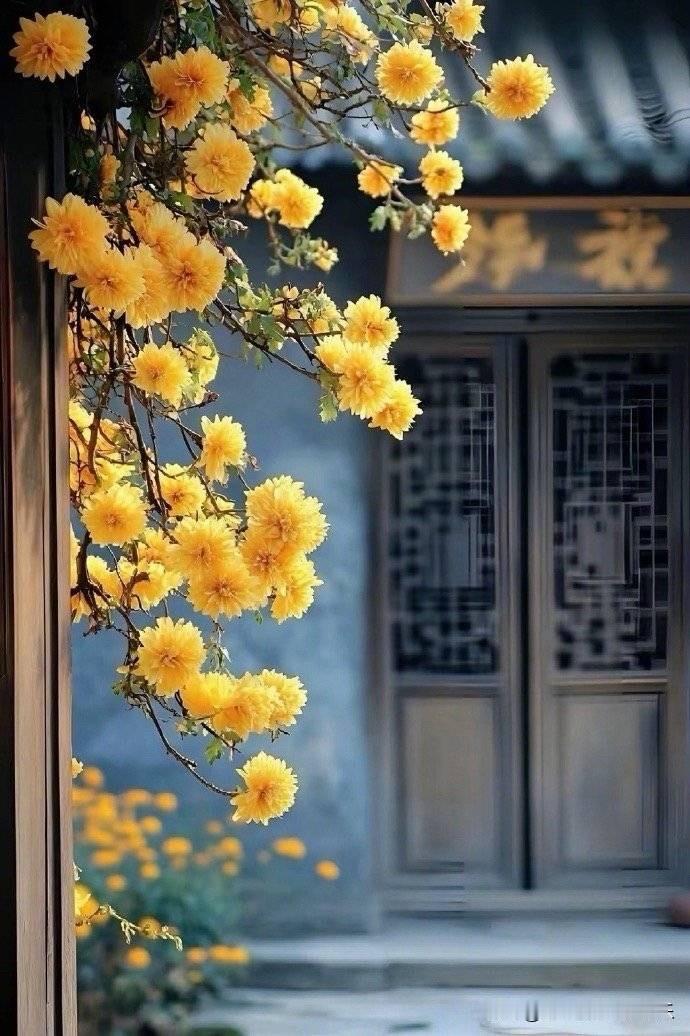 在私企工作的普通人，若运气差到极点，也会有与纪委打交道的机会。之前有个小助理，