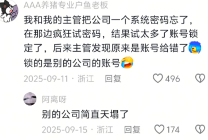 哈哈我真没忍住