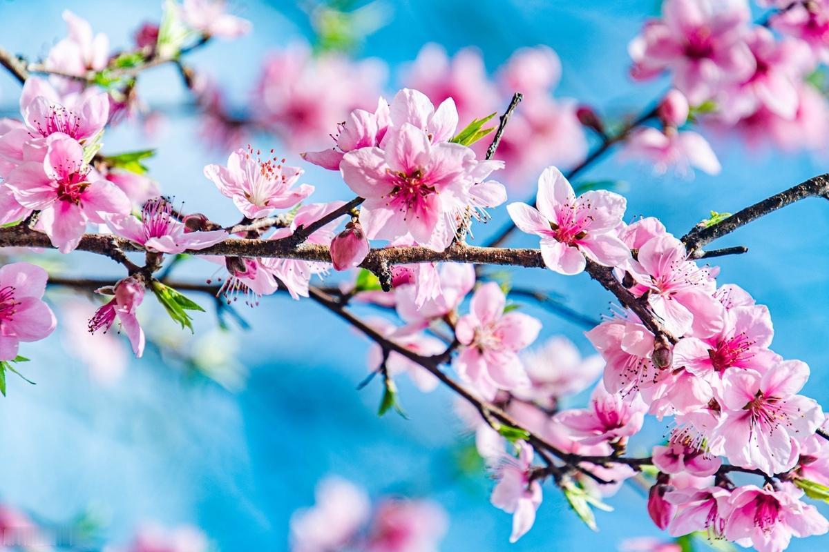 讨厌的东西不能说讨厌，喜欢的东西不能说喜欢，这样活着活着，人就会弄不明白真实的东