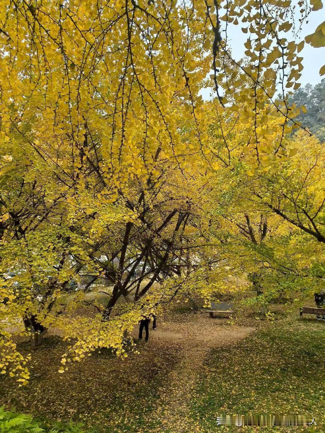 复旦大学陈果说过，男人最大的恶，从不是作恶多端，而是明知妻子顾家善良贤惠，却依旧
