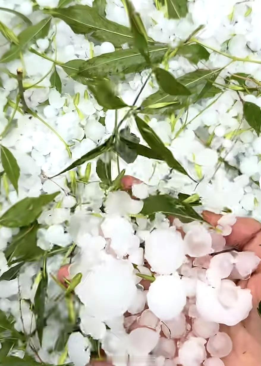 河北固安突降冰雹近半小时街道如铺白雪，居民：四十年头一次见今日午后，河北廊坊固