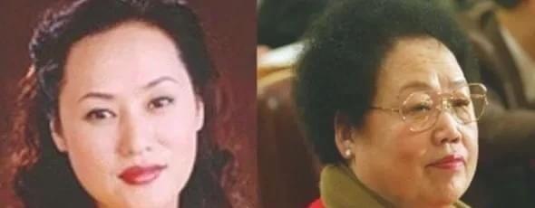 1995年，陈丽华和儿子商量生意的问题，迟重瑞突然插了一句。只见，陈丽华瞬间变了