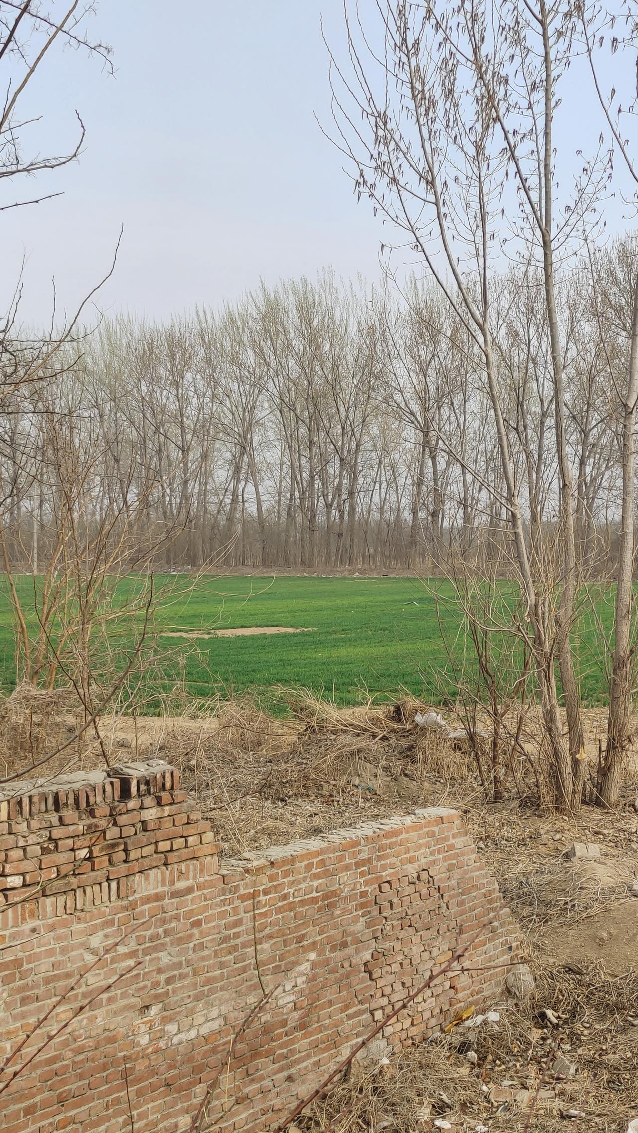 春天是一个踏青的好时间，没事出去溜达溜达挺好的，呼吸一下新鲜空气，顺便散散步！开