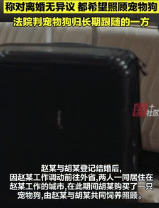 “离谱的很！”湖南常德，一对夫妻闹离婚不争房子不争财产，就争宠物狗的抚养权，两个