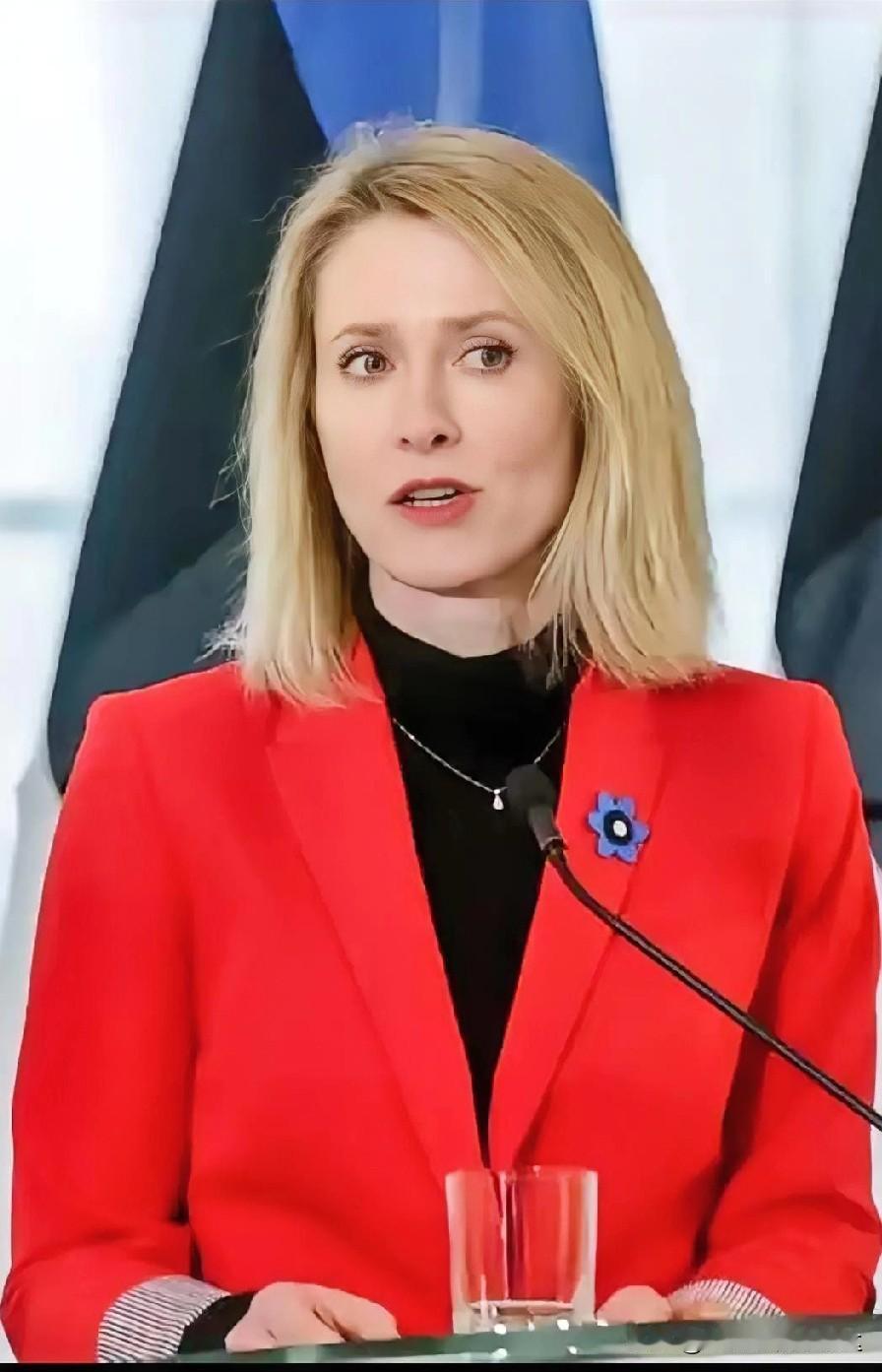 就在刚刚！欧盟外交代表卡娅·卡拉斯表态:今天是2026年1月28日，欧盟