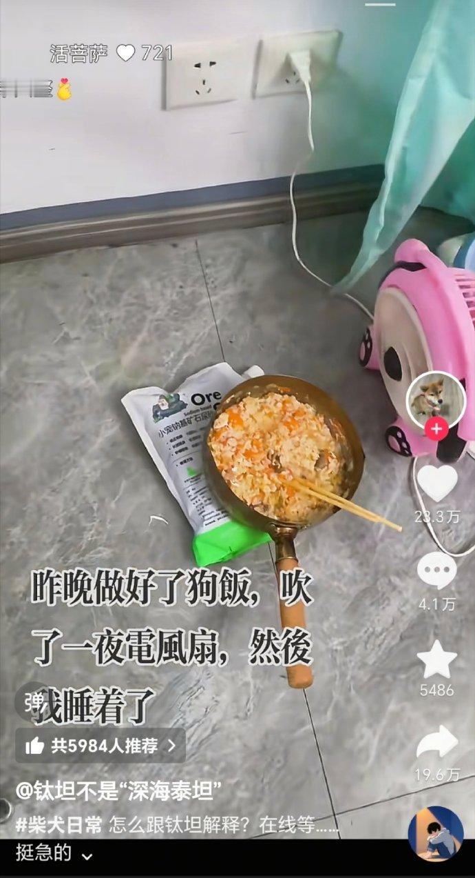 面条专挑细处断，命运戏弄大馋狗​​​​